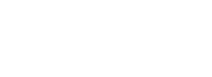 Austral Consulting Group, S.A.